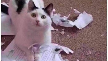 Mau marah tapi... hmm ya udah lah. Foto: (Bored Panda).