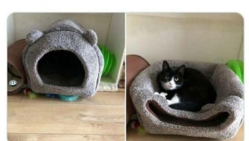 Ya udah lah ya, setidaknya dipakai. Daripada tidur di keset si kucing. Foto: (Bored Panda).