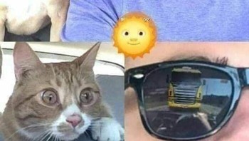 Si paham yang apa akan terjadi. Foto: (Bored Panda).