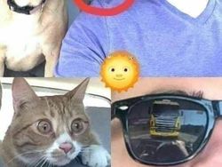 Meme Lucu Soal Kucing, Pasti Bikin Kamu Nyengir
