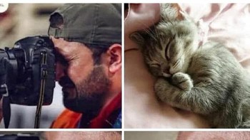 Pasti imut banget. Foto: (Bored Panda).