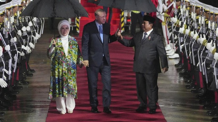 Momen Prabowo dan Erdogan Payungan Berdua di Tengah Hujan Turkey's President Recep Tayyip Erdogan, center, and his wife Emine, left, are greeted by Indonesian President Prabowo Subianto, right, upon their arrival at Halim Perdanakusuma International Airport in Jakarta, Indonesia, Tuesday, Feb. 11, 2025. (AP Photo/Achmad Ibrahim)