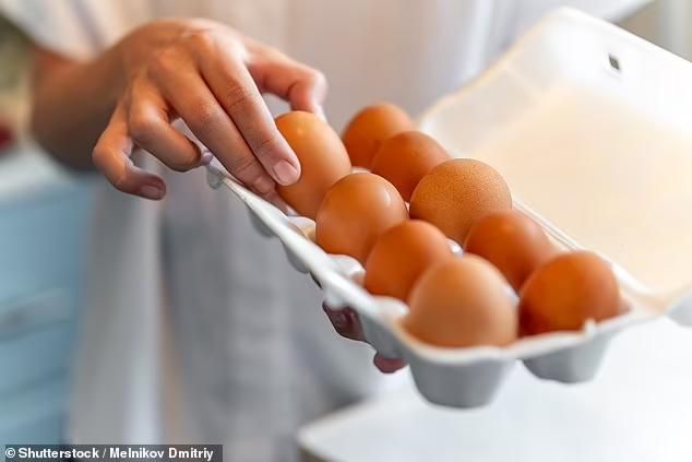 Nekat! YouTuber Ini Eksperimen Makan 1.000 Butir Telur Sebulan