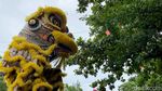 Aksi Barongsai Meriahkan Perayaan Cap Go Meh di Blitar