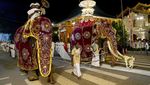 Parade Gajah Tahunan Ramaikan Ibu Kota Sri Lanka