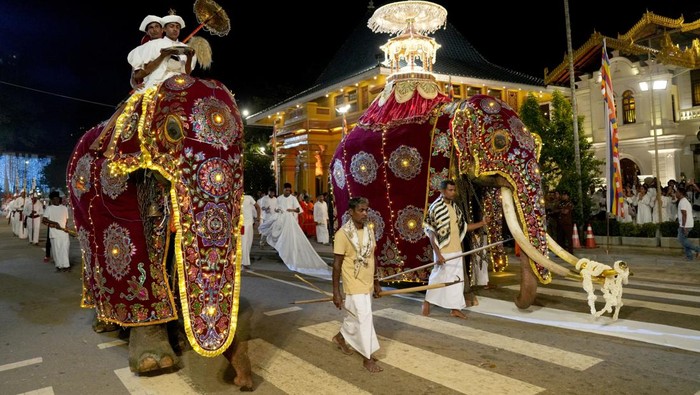 A decorated tusker carries a sacred relic casket during the annual Nawam Maha Perahera of Gangaramaya Buddhist temple in Colombo, Sri Lanka, February 11, 2025. REUTERS/Thilina Kaluthotage