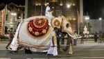 Parade Gajah Tahunan Ramaikan Ibu Kota Sri Lanka