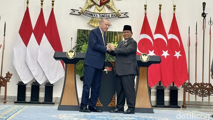 Presiden Turki Erdogan dan Presiden RI Prabowo (Firda Cynthia Anggrainy/detikcom)