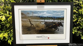 Ini adalah salah satu hasil jepretan dari Aquos R9 Pro oleh National Geographic Indonesia. Foto: detikINET/Anggoro Suryo Jati