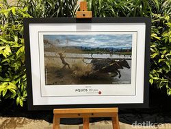 Lebih Dekat dengan Sharp Aquos R9 Pro