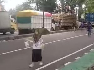 Video: Heboh Sopir Bagikan Ayam Gegara Truk Terjebak Macet di Jl Trans Sulsel