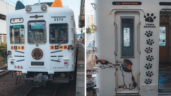 Ini Tamaden Wakayama. Kalau kamu naik kereta sampai ujung, kamu dapat melihat kepala stasiun kucing di Stasiun Kishi. Foto: mmats01 via Bored Panda