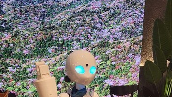 Bukan robot biasa. Ini adalah robot staf kafe yang dioperasikan oleh orang dengan disibilitas parah. Foto: sana_hamouche via Bored Panda