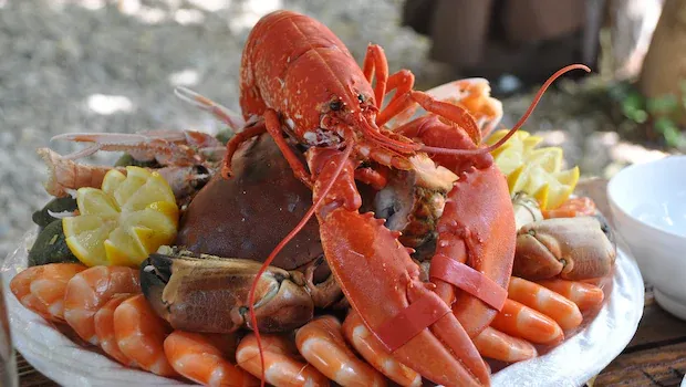 festival kuliner di berbagai negara