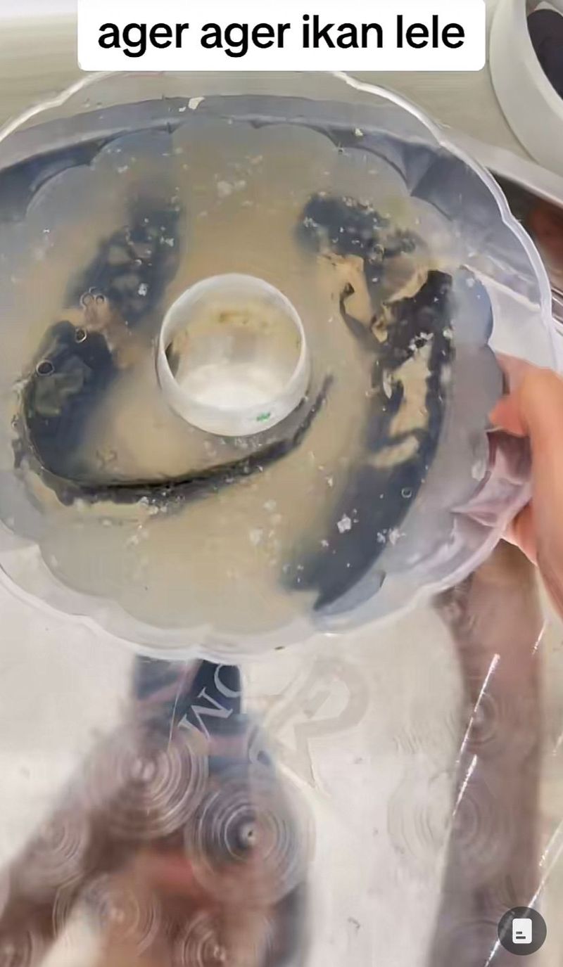 Kreasi 5 Puding dan Agar-agar Unik yang Bentuknya Bikin Mual