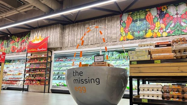 Missing Egg
