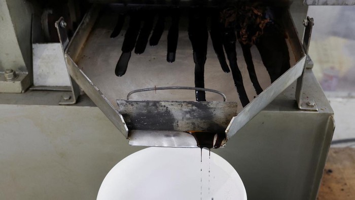 Perusahaan di UEA Sulap Sisa Makanan Jadi Bahan Bakar, Begini Prosesnya Biologist and co-founder of Circa Biotech, Haythem Riahi, looks at caged black soldier flies, inside his facility, in Al Ain, United Arab Emirates, January 14, 2025. REUTERS/Amr Alfiky TPX IMAGES OF THE DAY