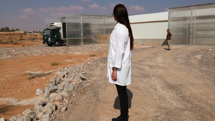 Perusahaan di UEA Sulap Sisa Makanan Jadi Bahan Bakar, Begini Prosesnya Biologist and co-founder of Circa Biotech, Haythem Riahi, looks at caged black soldier flies, inside his facility, in Al Ain, United Arab Emirates, January 14, 2025. REUTERS/Amr Alfiky TPX IMAGES OF THE DAY