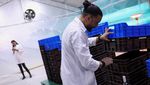 Perusahaan di UEA Sulap Sisa Makanan Jadi Bahan Bakar, Begini Prosesnya