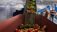 Riahi mengatakan lalatnya dapat memakan sampah makanan dalam jumlah besar yang dapat berkontribusi untuk mengatasi masalah lingkungan global.