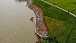 Duh! Proyek Tanggul Sungai Bengawan Solo di Bojonegoro Ambruk