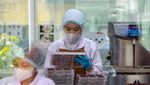 Sibuknya Pekerja Produksi Cokelat Jelang Hari Valentine 2025