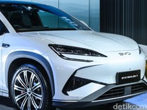 Preman-Ormas Ganggu Pembangunan Pabrik BYD di Subang, Investor Asing Bisa Ragu