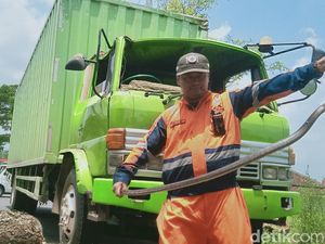 Bikin Kaget! Ular 1,5 Meter Nongol Saat Evakuasi Pohon Timpa Truk di Klaten