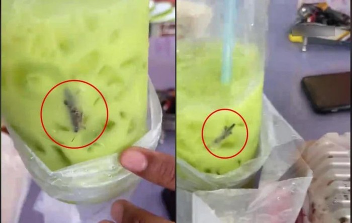 Beli Minuman Green Tea, Pelanggan Ini Dapet Bonus Belalang