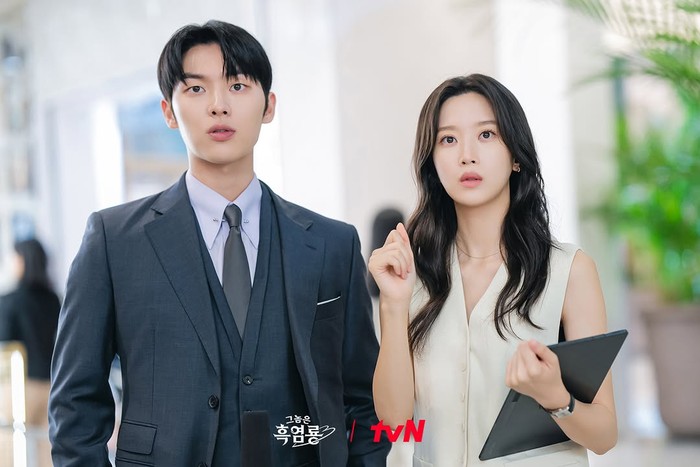Drama Korea My Dearest Nemesis Drama Korea My Dearest Nemesis