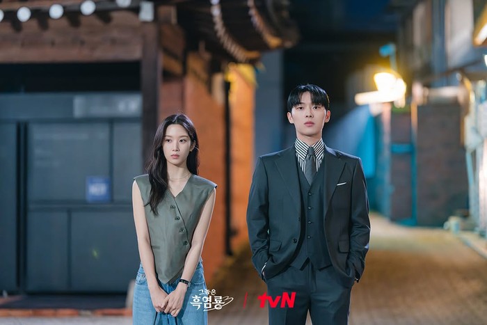 Drama Korea My Dearest Nemesis