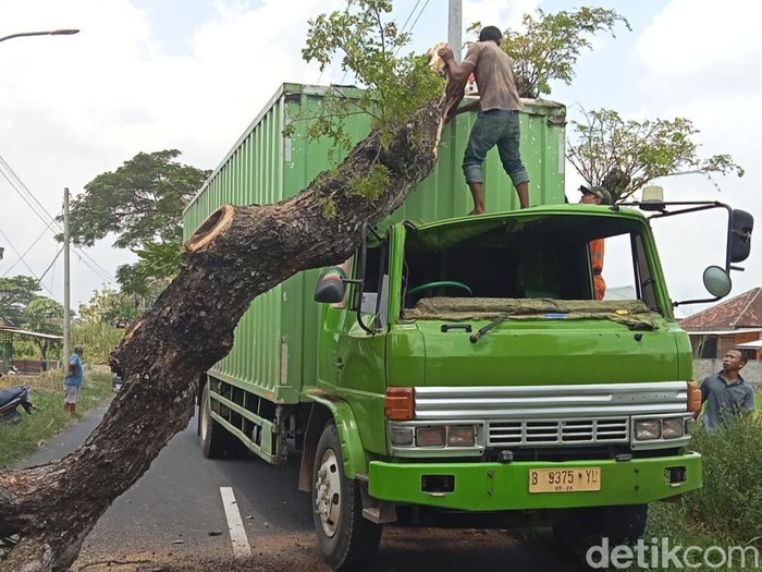 Evakuasi truk boks tertimpa pohon trembesi di jalan Delanggu-Wonosari, Desa Ngreden, Kecamatan Wonosari, Klaten, Jumat (14/2/2025).