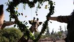 Hewan-hewan di Kebun Binatang Chile Juga Merayakan Hari Valentine