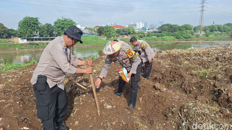 Kebun jagung di Tanah Abang diprediksi bakal panen bulan Maret. Awalnya, lahan tersebut tidak digunakan dan dalam kondisi dipenuhi sampah (dok Istimewa)