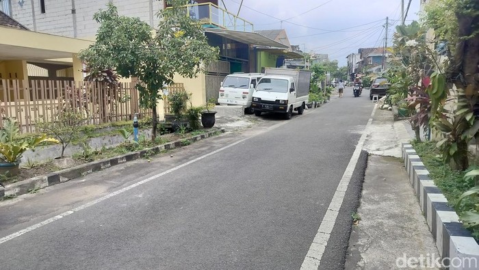 kucing mati massal di Kota Malang