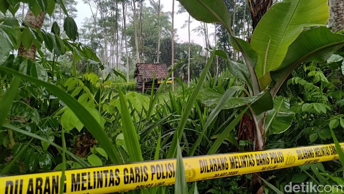 lokasi pembunuhan siswi mi banyuwangi masih dipasang police line