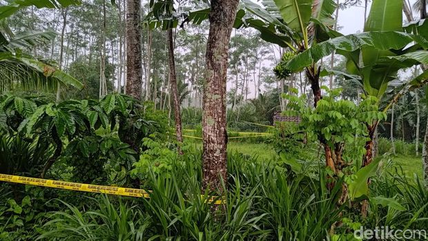 lokasi pembunuhan siswi mi banyuwangi masih dipasang police line