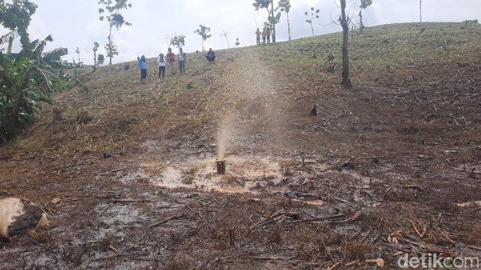 Lokasi sumur minyak tua mengeluarkan air bercampur latung di Dukuh Kedinding, Desa Ngraho, Kecamatan Kedungtuban, Kabupaten Blora, Jumat (14/2/2025).