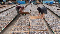 Perajin ikan asin di daerah tersebut mengaku mulai menggunakan ikan beku (Cold Storage) untuk memenuhi kebutuhan bahan bakunya. 