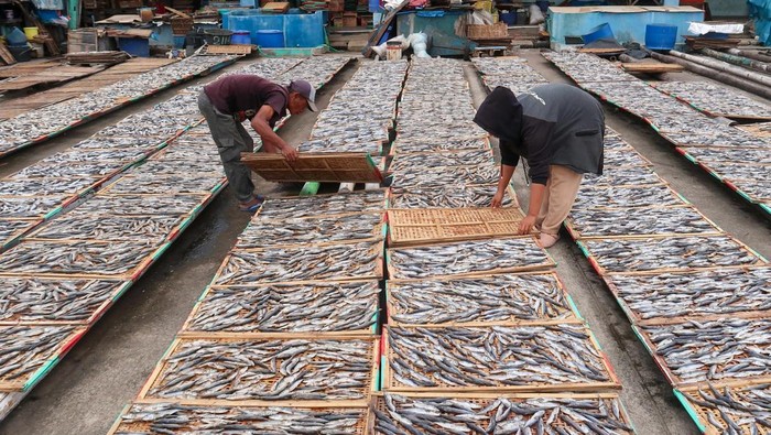 Pekerja memproses ikan beku menjadi ikan asin di Muncar, Banyuwangi, Jawa Timur, Jumat (14/2/2025). Perajin ikan asin di daerah tersebut mengaku mulai menggunakan ikan beku (Cold Storage) untuk memenuhi kebutuhan bahan bakunya karena kesulitan mendapatkan pasokan ikan segar dari nelayan yang tidak melaut akibat cuaca buruk. ANTARA FOTO/Budi Candra Setya/rwa.