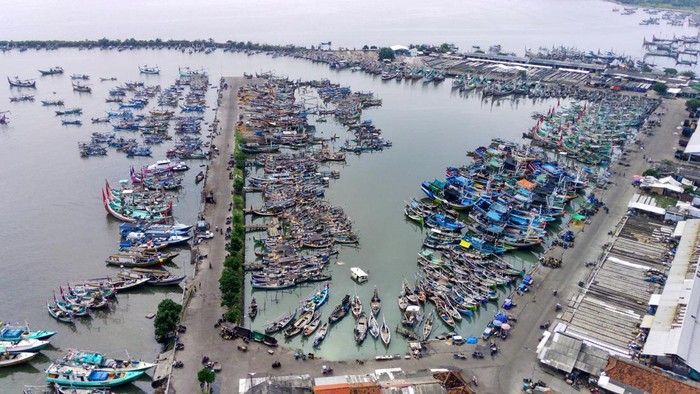 Foto udara kawasan Ruang Terbuka Hijau (RTH) dan dermaga Pelabuhan Ikan Muncar di Banyuwangi, Jawa Timur, Jumat (14/2/2025). Pemerintah telah menerapkan berbagai kebijakan untuk mendukung pengembangan Minapolitan Pelabuhan Muncar sebagai pusat perikanan dan industri kelautan seperti pengembangan infrastruktur, regulasi dan pengolahan perikanan. ANTARA FOTO/Budi Candra Setya/rwa.