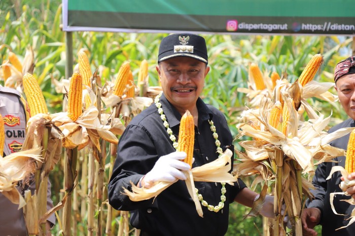 Pemkab Garut