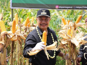 Jelang HUT Ke-212, Pemkab Garut Beberkan Capain hingga Tantangan