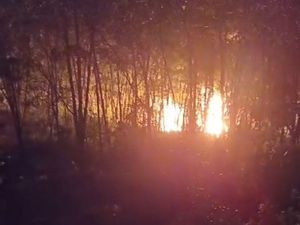 Polisi Buru Pemilik Lahan Usai Sumur Minyak Ilegal di Muba Terbakar