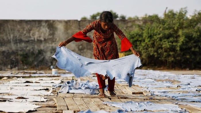 Potret Penjemuran Kulit Sapi di Dhaka Bangladesh A boy hits nails on cowhides to keep them stretched while drying in sunlight, as he works in a tannery in Dhaka, Bangladesh, February 13, 2025. REUTERS/Mohammad Ponir Hossain