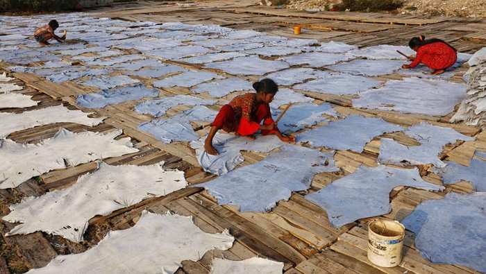 Potret Penjemuran Kulit Sapi di Dhaka Bangladesh A boy hits nails on cowhides to keep them stretched while drying in sunlight, as he works in a tannery in Dhaka, Bangladesh, February 13, 2025. REUTERS/Mohammad Ponir Hossain
