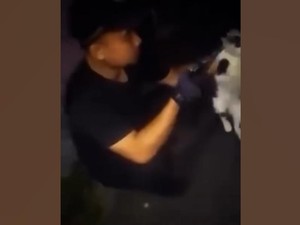 Video: Aksi Pria di Bandung Tembak Mati Kucing Berujung Ditangkap Polisi