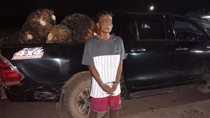 Tampang pelaku pencurian buah kelapa sawit di Muba saat diamakan polisi