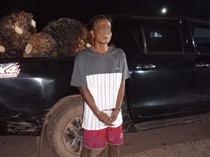 Amran Ditangkap karena Curi 53 Tandan Buah Kelapa Sawit di Muba, 3 Pelaku Kabur