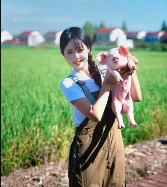 Sejak April 2023, Yang mulai mengambil alih bisnis keluarga di bidang ternak babi. Ia sendiri turun tangan menjadi peternak selagi mendokumentasikan kehidupan barunya di media sosial.  Foto: Weibo